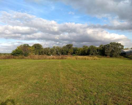 Alvear - 35 Ha - Santa FE