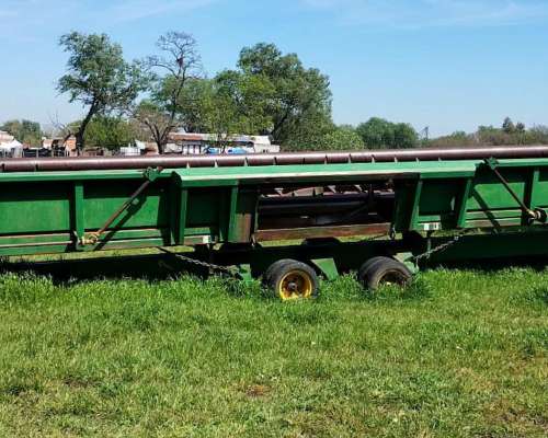 Girasolero Piersanti de 19 a 52