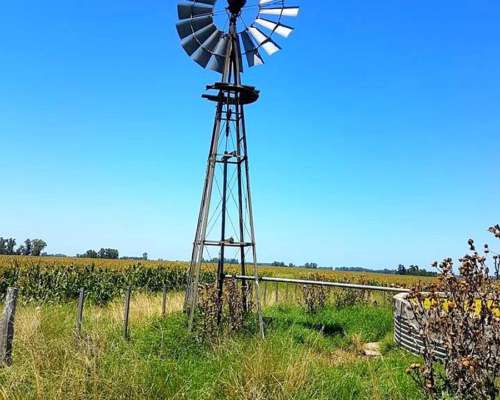 75 Has Ganaderas en Rafael Obligado (rojas Bs.as.)