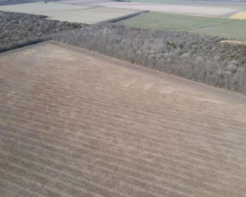 Campo Agrícola en Rocamora de 59 Hectáreas.