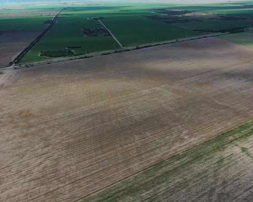San Luis Naschel 190 Has Agricolas