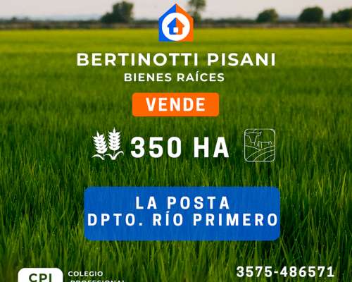Se Vende Campo en la Posta