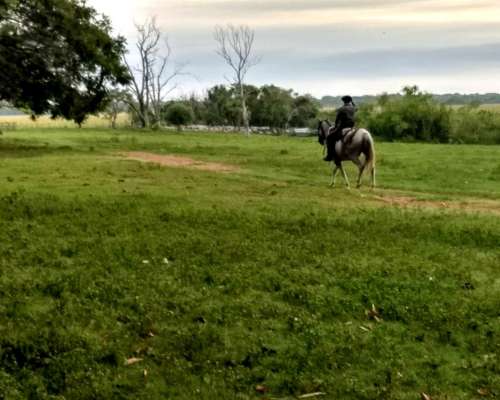 Impresionante Campo Mixto. Ituzaingo. Ctes