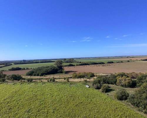 Campo Mixto 49 Hectáreas