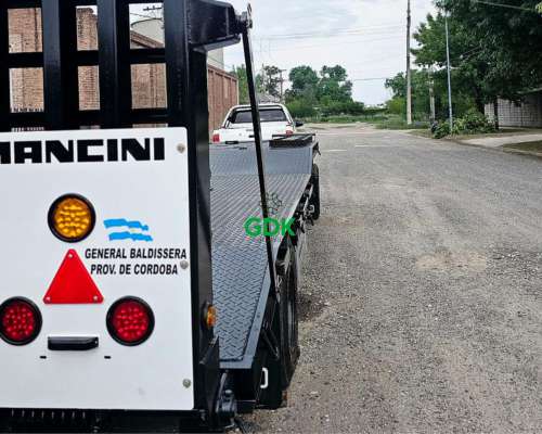 Acoplado Carreton Homologado 10/12 TN. C/freno Elect Mancini