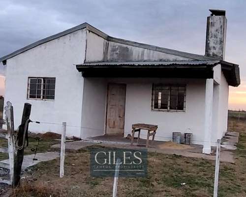 Campo Mixto 720 Hectáreas