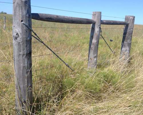 Campo Agricola Ganadero de 35 Hectareas