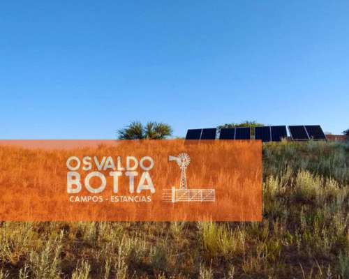 Campo en Venta 1250has Telen, la Pampa