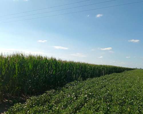 69 Ha en Venta en Monte Cristo