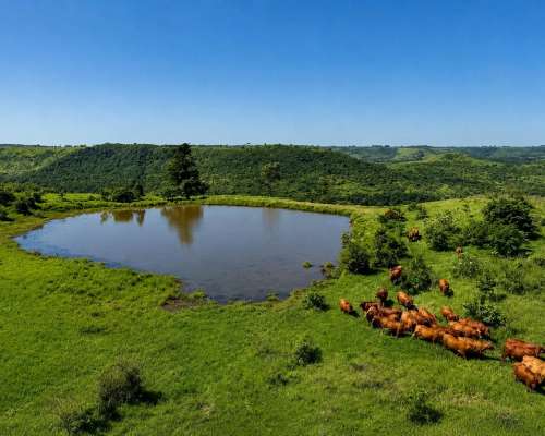 512 Ha Preciosa Estancia en Misiones