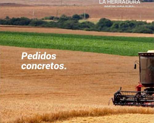 Buscamos Campos Agrícolas Santa FE. Operaciones Inmediatas