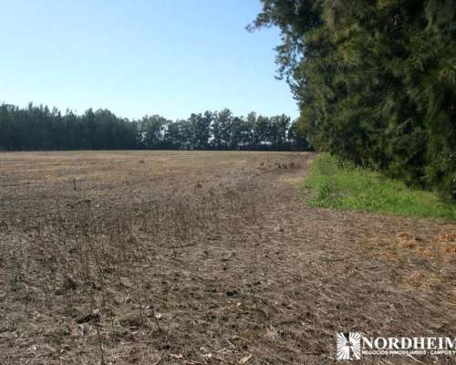 Zarate , G.b.a. Zona Norte, Argentina