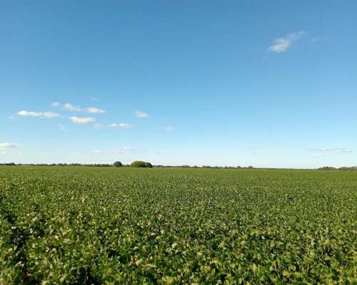 87 Ha en Venta en Capilla de Siton