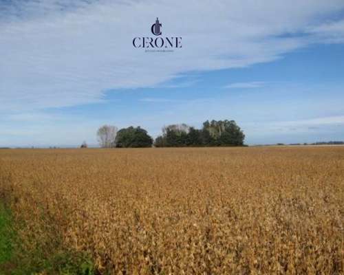 Campo - 103 Hectáreas - Agrícola - Mechongue - Sobre Ruta