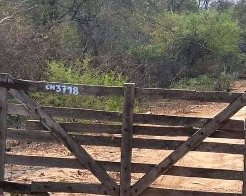 Chacra en las Lomitas Formosa