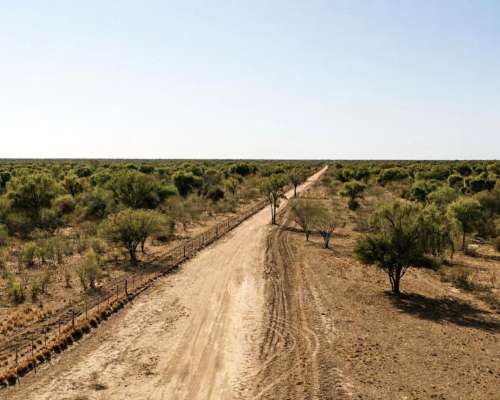 Guanaco Muerto, Cruz del Eje, Córdoba - 4.500 Ha