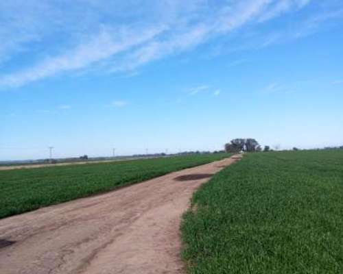 200 Hectáreas Agricolas. Arrecifes.