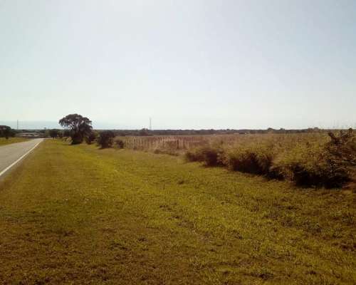 Bañado de Ovanta Oportunidad 437 Hectareas Agricolas S/ruta