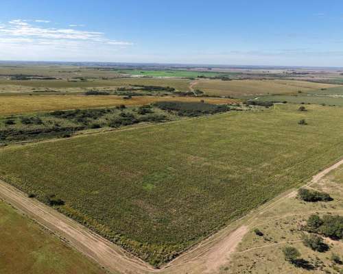 Las Vizcacheras, Pedernera, San Luis - 266 Ha