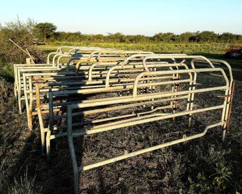 Maternidad para Cerdos - Termoplast