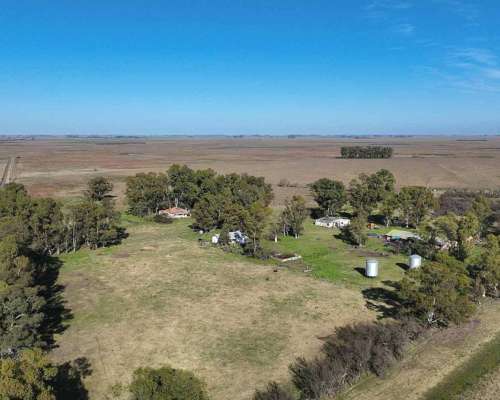 Pcia. de Buenos Aires - Gorch 860 Ha