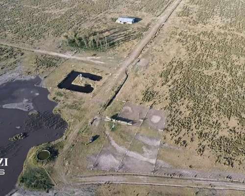 Alquilo 1.482 Ganaderas en Departamento San Martin.