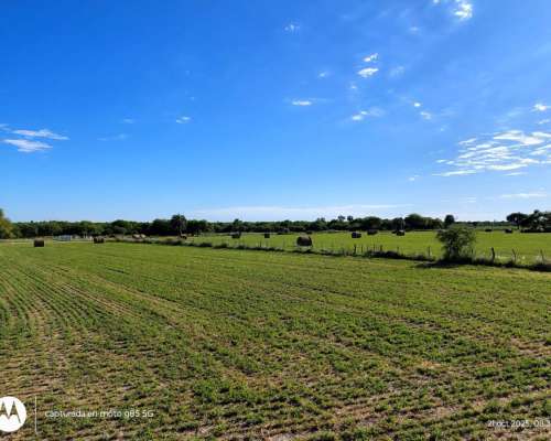 Campo Ganadero en Producción Federal E.r.