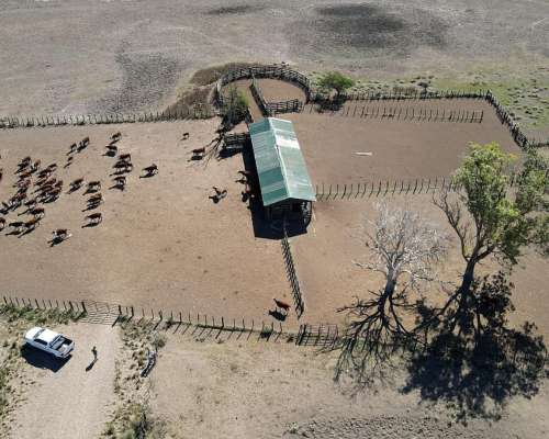 Campo Ganadero de 2700 Hectáreas en Gualeguaychú.