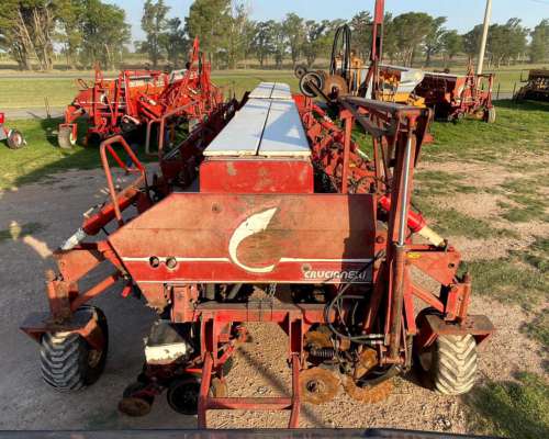 Crucianelli Gringa 28 a 35