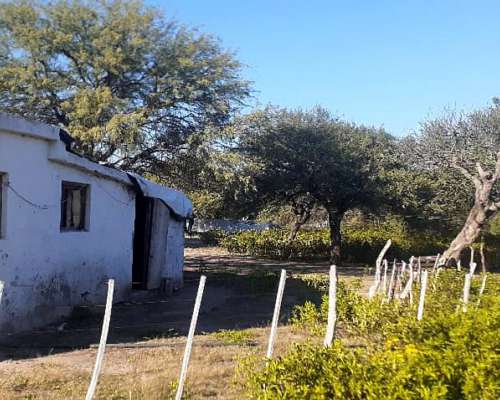 Venta de Campo en Cachi Yaco con Galpones