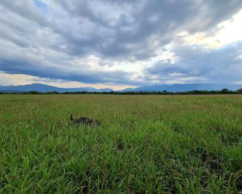 La Viña , Salta, Argentina