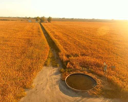 Campo en Venta en Colonia Castelar, Santa FE