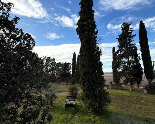 Campo de 10 Hectáreas