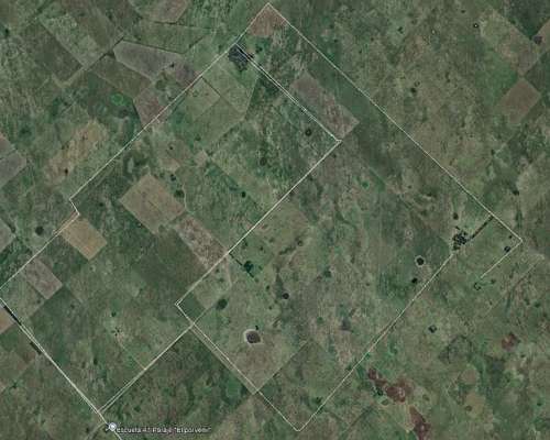 Macachin la Pampa Argentina