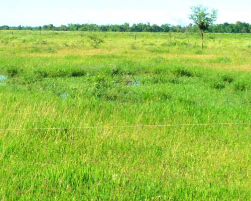 62 Hectáreas Mixtas . Sobre Ruta N463