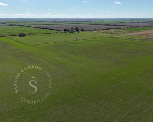 Venta Campo Agrícola. 87 HA. Santa Maria, Santa FE