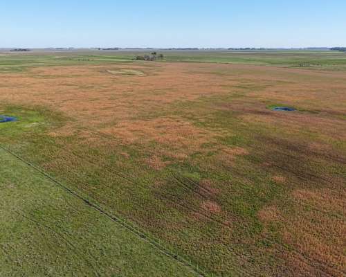 Ibañez, Gral Belgrano (BS As)- 70 Ha Agrícolas para Alquilar