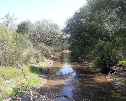 Estancia Ganadera Cría Desarrollada Mejoras Pasturas