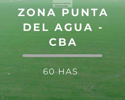 Se Vende Campo Agricola - Zona de Punta del Agua