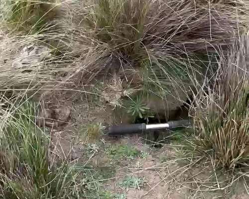 500ha Agrícola-ganaderas Sobre Ruta Nacional 35