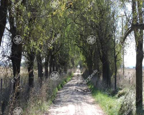 Campo en Venta 360 Has en Bavio