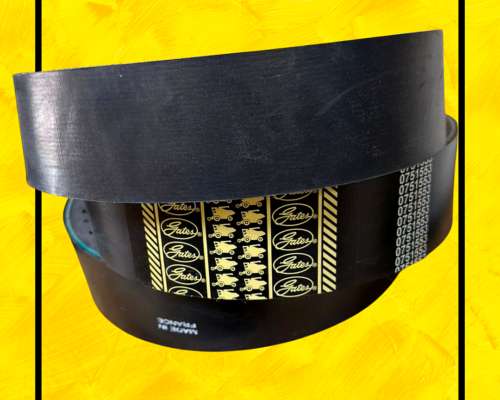 Correa Gates 0751553 Transmisión del Rotor o Variador Case