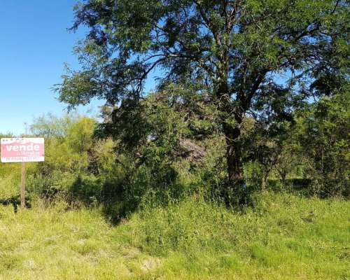 Arocena. Lote en Venta. Frente Laguna