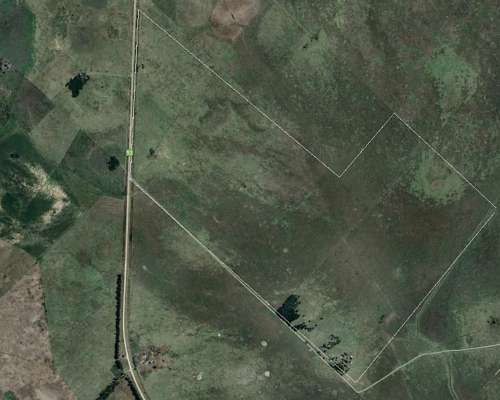 Dolores Buenos Aires Argentina