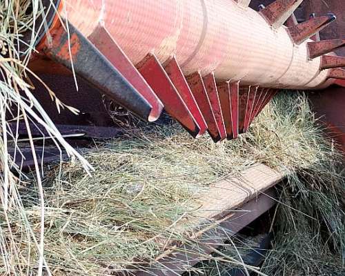 Picadora Mainero con Carro D400
