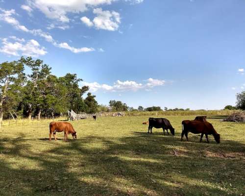 Alquilo 20h Sobre Ruta 41 Zona Lobos BS AS