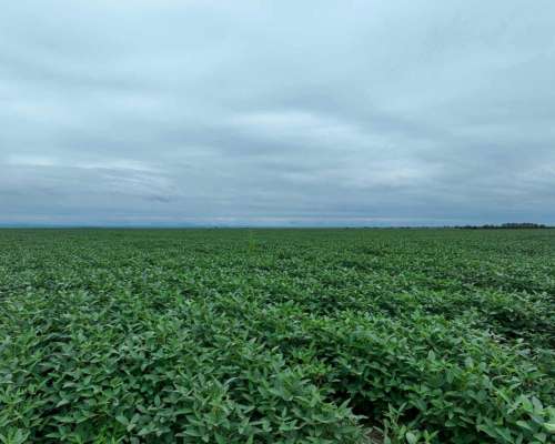 Pcia. de Catamarca - Bañado de Ovanta 437 Ha