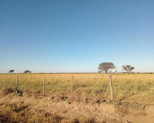 450 Ha en Venta Norte de Córdoba