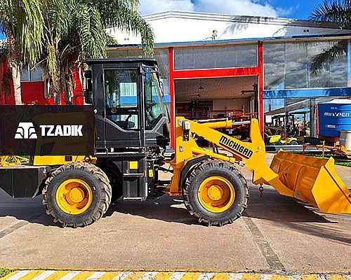 Pala Cargadora Michigan R45c IV