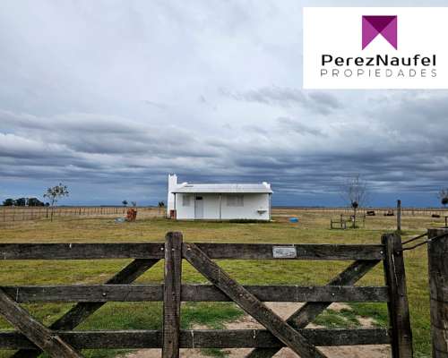 Campo Venta Pila 4400 Ha Ganadero